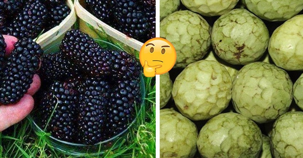 Тест: Сможете ли вы узнать все эти экзотические фрукты и ягоды?