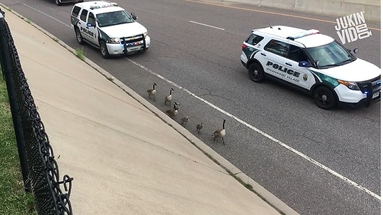 Dünyanın Dört Bir Yanından İnsanlığa İnancı Tazeleyen Görüntüler