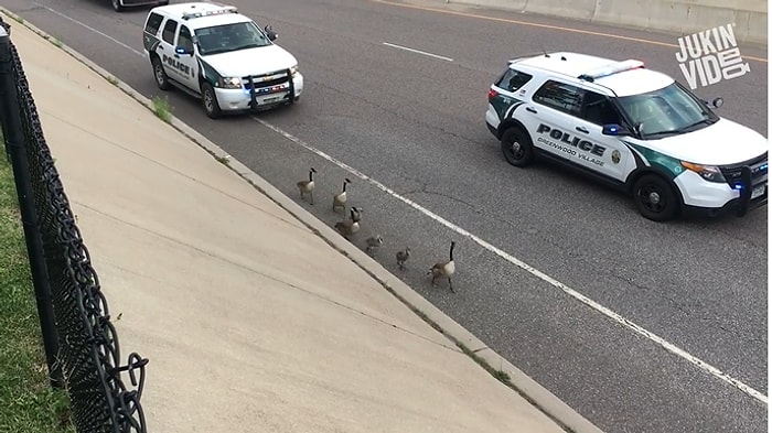 Dünyanın Dört Bir Yanından İnsanlığa İnancı Tazeleyen Görüntüler