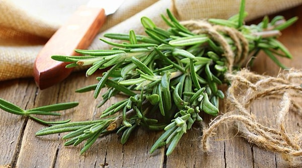 1. Итак, что это за специя?