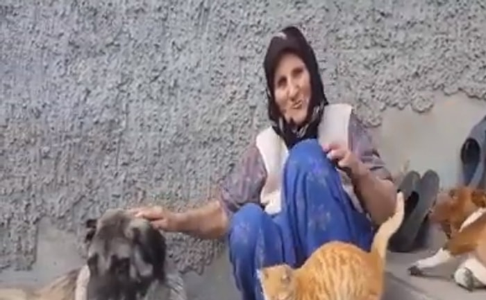 Elinden Geldiğince Sokak Hayvanlarına Bakan Elleri Öpülesi Teyze ile Tanışın!