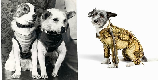 Мода от Белки и Стрелки: Что носили первые собаки в космосе?