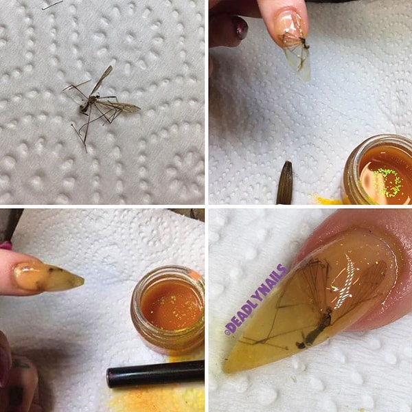 5. Фу, фу, фу! И как такое могло прийти в голову?