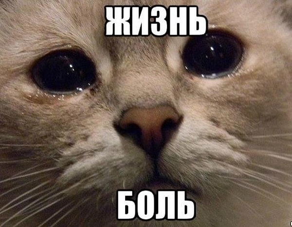 10. «Сегодня я ехал в лифте, и в него вошла привлекательная девушка. Она разговаривала по телефону. И вдруг она сказала своей подружке: «Ой, мне пора. Тут такой симпатичный парень в лифте» и нажала отбой. До того, как я успел хоть как-то отреагировать, она повернулась ко мне и быстро проговорила: «Извини, что наврала, но мне действительно надо было от нее отвязаться».