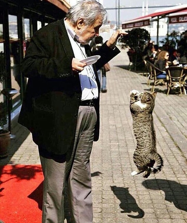 5. Ne kadar kültürlü bir kedi