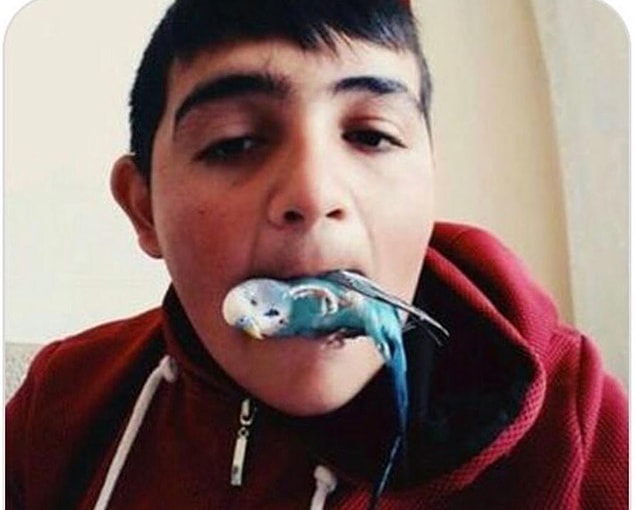13. "Masaj gibi geliyor"