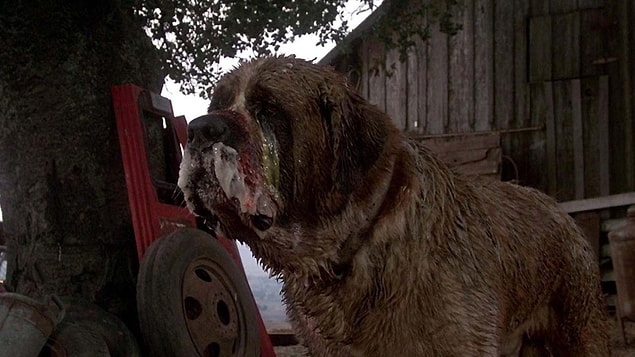 Tabii ki "Cujo"!