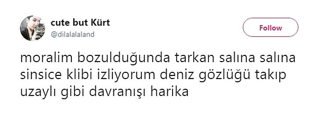Sözleriyle içli, klibiyle eğlenceli olabilen nadir şarkılardan...