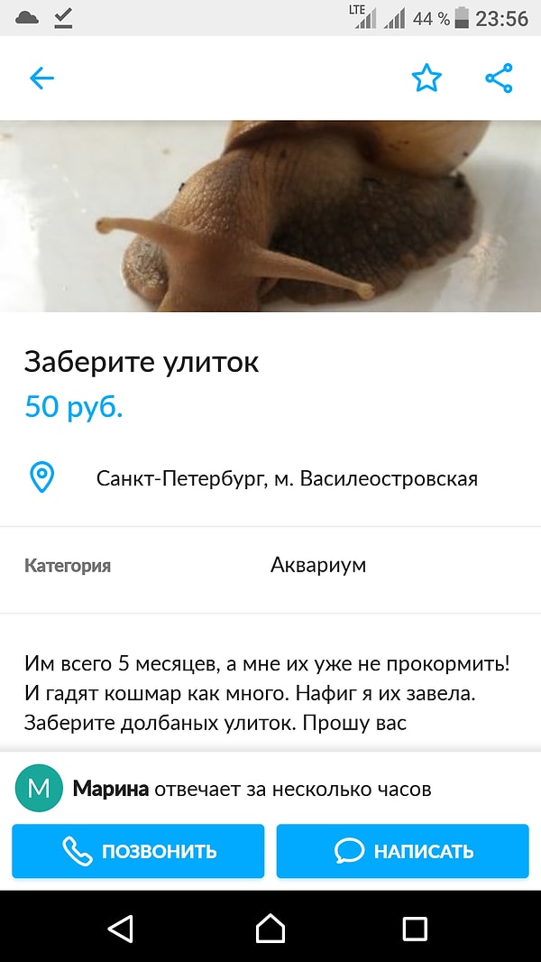 3. Крик души девушки, разочаровавшейся в улитках