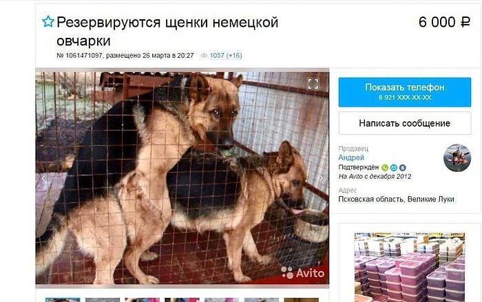 17 убийственных объявлений с Авито: вы не сможете удержать смех!