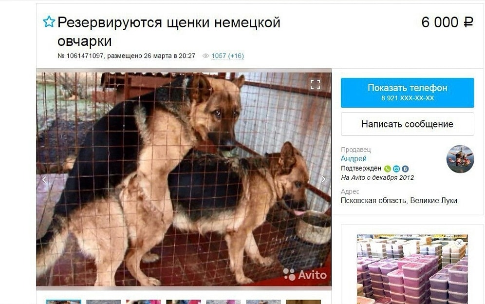 17 убийственных объявлений с Авито: вы не сможете удержать смех!