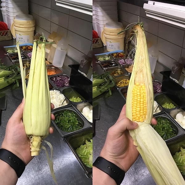 15. Даже матерь-природа периодически напоминает нам, что в этом мире не все так просто :)