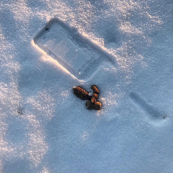 17. "Почти уронил телефон в мину"