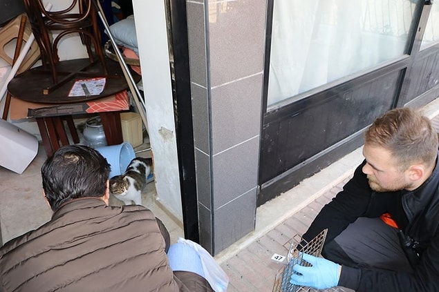 'Rehabilite edilmek üzere müdürlüğümüze götürüldü'