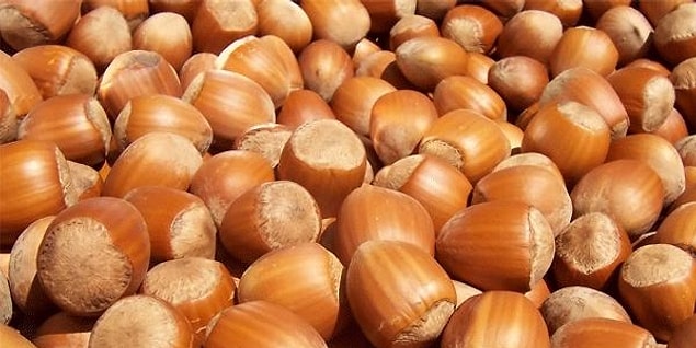 Fındık