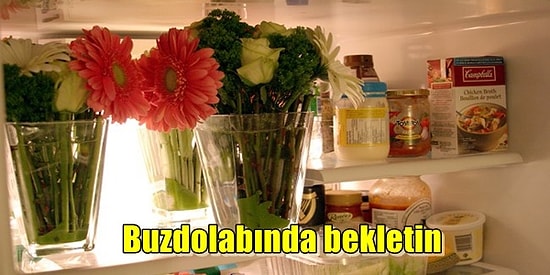 Solmalarına İzin Vermeyin! Çiçeklerinizi Daha uzun Süre Canlı Tutup Kokusunu Kaybettirmeyecek Basit İpuçları