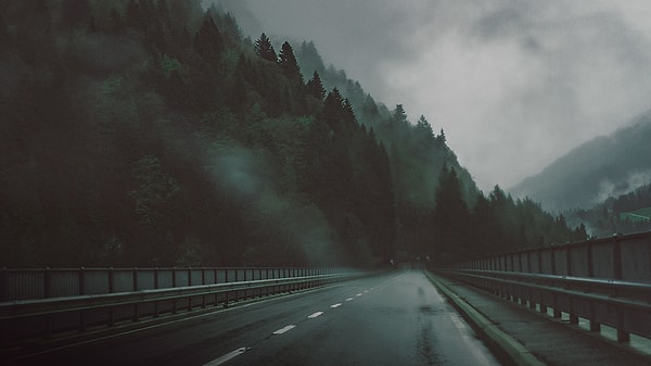 Вы боитесь одиночества