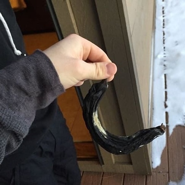 ...и эта иссохшая банановая мумия