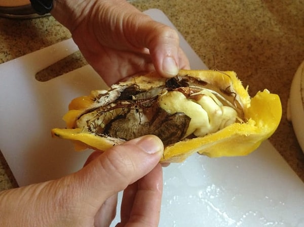 ...и "видавший виды" манго :)