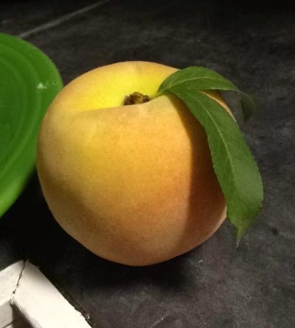 2. Ну очень симпатичный пЭрсик...