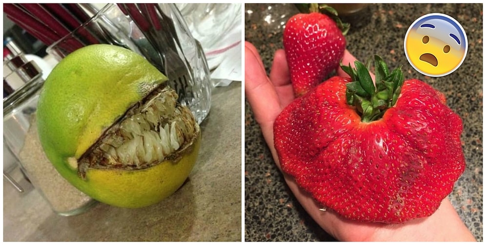 11 фото фруктов, которые восхитят вас, и 11 фото, от которых захочется сказать: "Фу, уберите это от меня!"