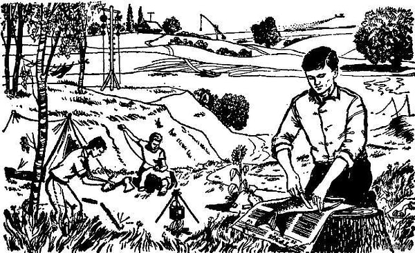 2. Хорошо ли они знакомы с домоводством?