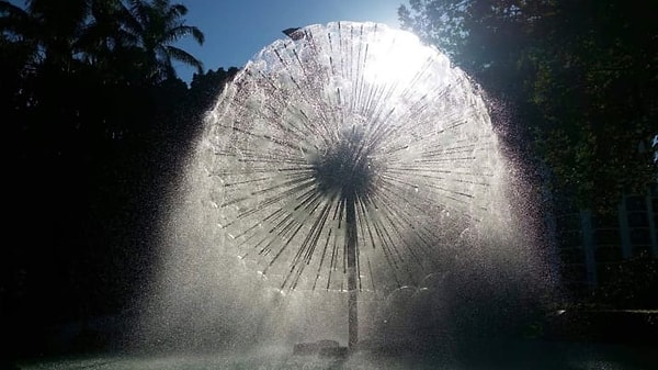 11. А этот фонтан похож на одуванчик