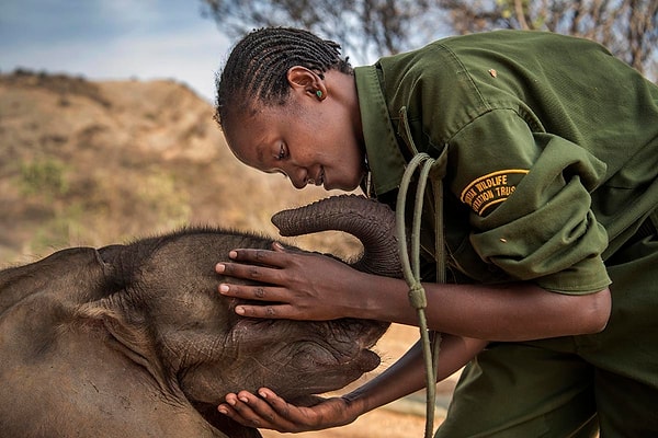 16. "Воины, которые когда-то боялись слонов, теперь их защищают", автор: Ami Vitale
