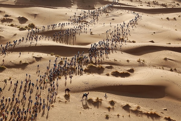 19. "Марафон де Собле", автор: Erik Sampers