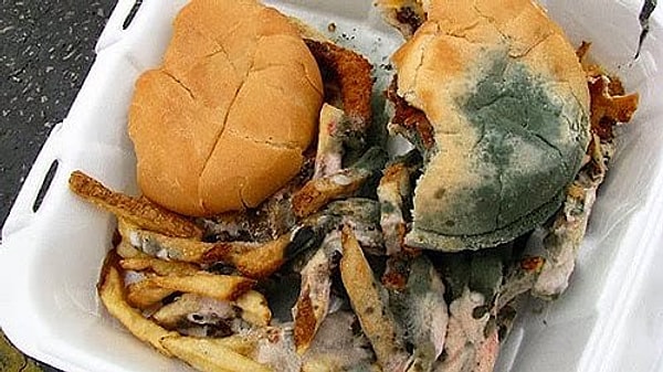 5. Допустим, вот уже несколько дней во рту не было ни крошки, голод зашкаливает. Сможете съесть содержимое этой тарелки?