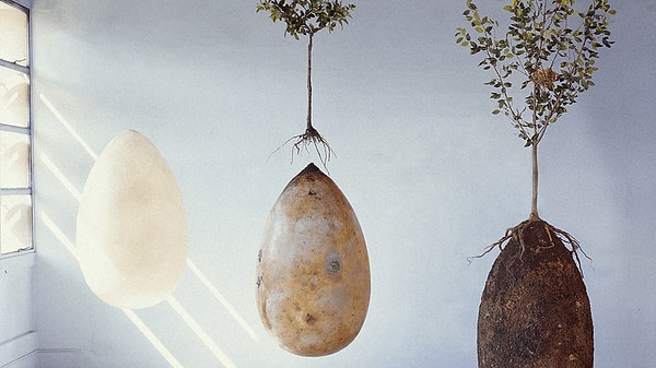 3. Останки помещаются в биоразлагаемый гроб.