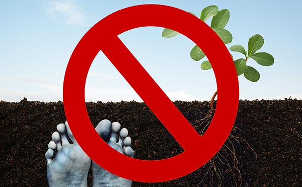 5. Несмотря на все плюсы, промессия все еще нелегальна.