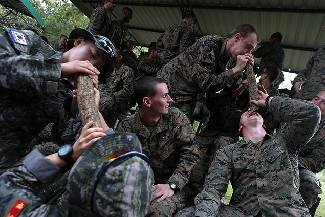 İsminden de anlaşıldığı gibi kobra yılanlarını kullanıyorlar.