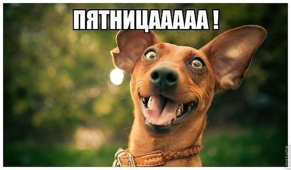 4. Как бы вы провели вечер пятницы?