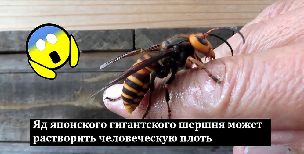 14 фактов, после которых вы вообще пожалеете, что открыли эту статью