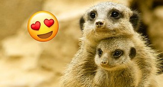 Тест: Действительно ли хорошо вы знаете свою маму?