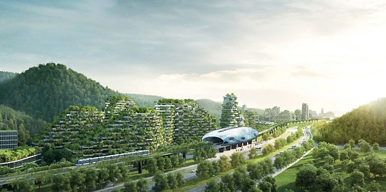 Зеленые новости: В 2020 году в Китае стартует стройка первого в мире города-леса