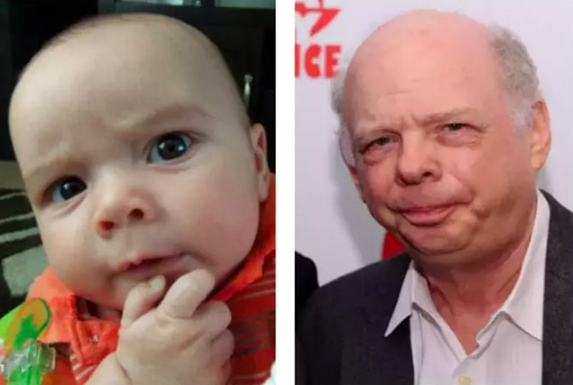 8. Wallace Shawn