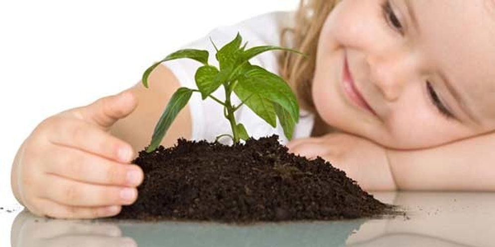 Сможете ли вы отличить правду от мифа в этом тесте на знание фактов о здоровье?