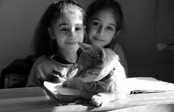 Kedi Tombi ve sınıf arkadaşlarına mutluluklar dileriz 🙏