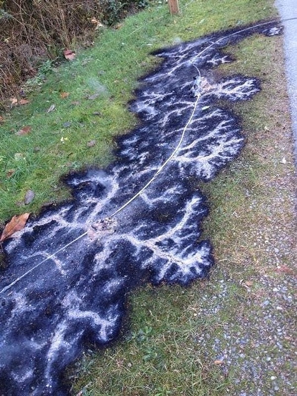 4. Те же самые фигуры Лихтенберга, которые образовались в результате обрыва линии электропередач и короткого замыкания на землю.