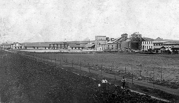 Daha sonra tüm fabrikaları tek çatı altında toplamak için 22 milyon TL sermayeli Türkiye Şeker Fabrikaları A.Ş. kuruldu.