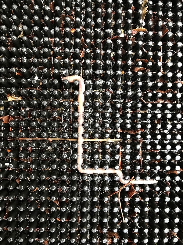 4. Помните ту игру про змейку на NOKIA?