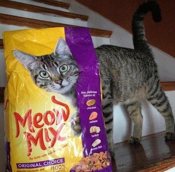 5. Вот это да!