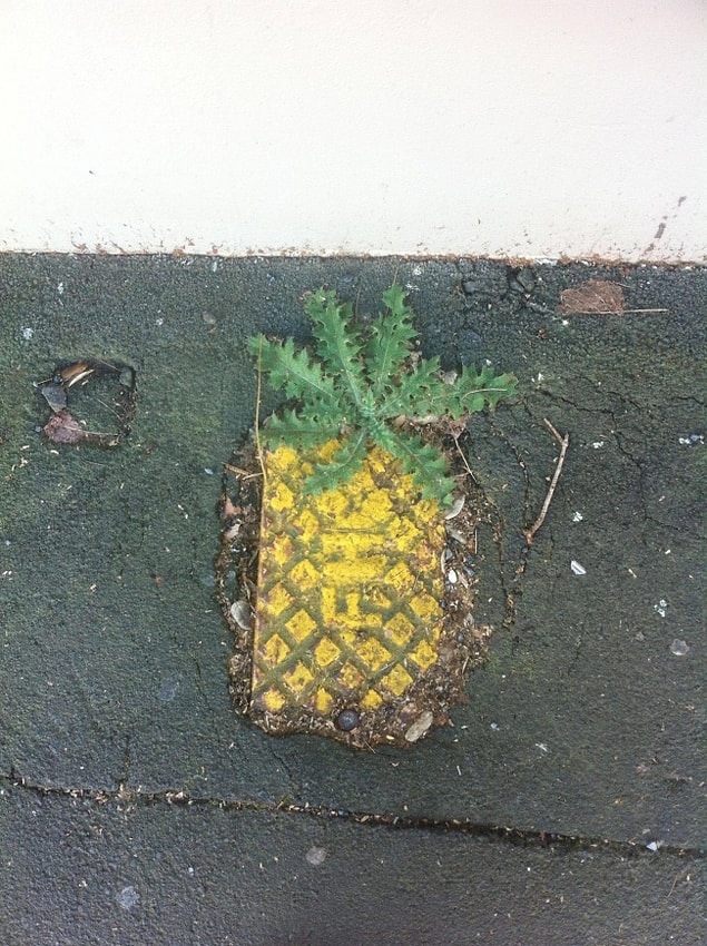 14. SüngerBob neredesin?