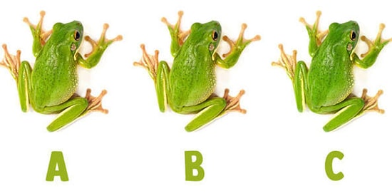 Тест: Только 5% людей проходят этот ультрасложный тест на 11/11