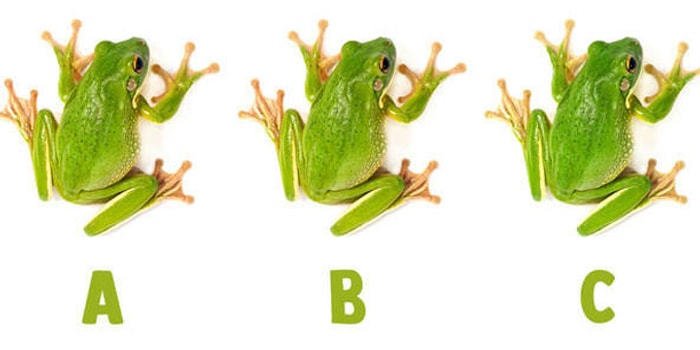 Тест: Только 5% людей проходят этот ультрасложный тест на 11/11