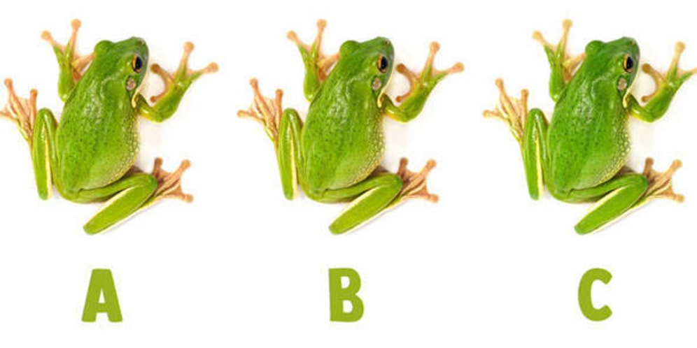 Тест: Только 5% людей проходят этот ультрасложный тест на 11/11