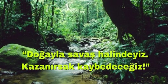 Dünyanın Akciğerleri Ormanların Önemi Hakkında Yeterince Bilgi Sahibi miyiz?