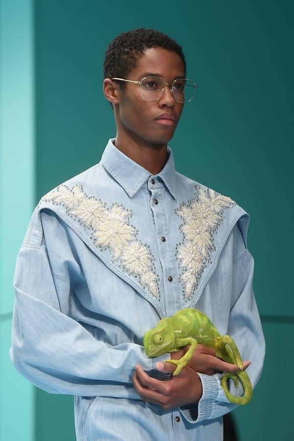 5. Были и хамелеоны.